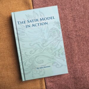 The Satir Model in Action