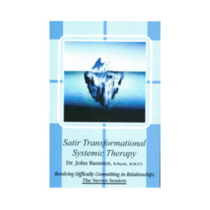 Workshop Demonstration – Steven