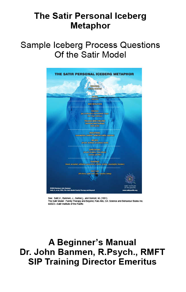 Satir Process Question Booklet